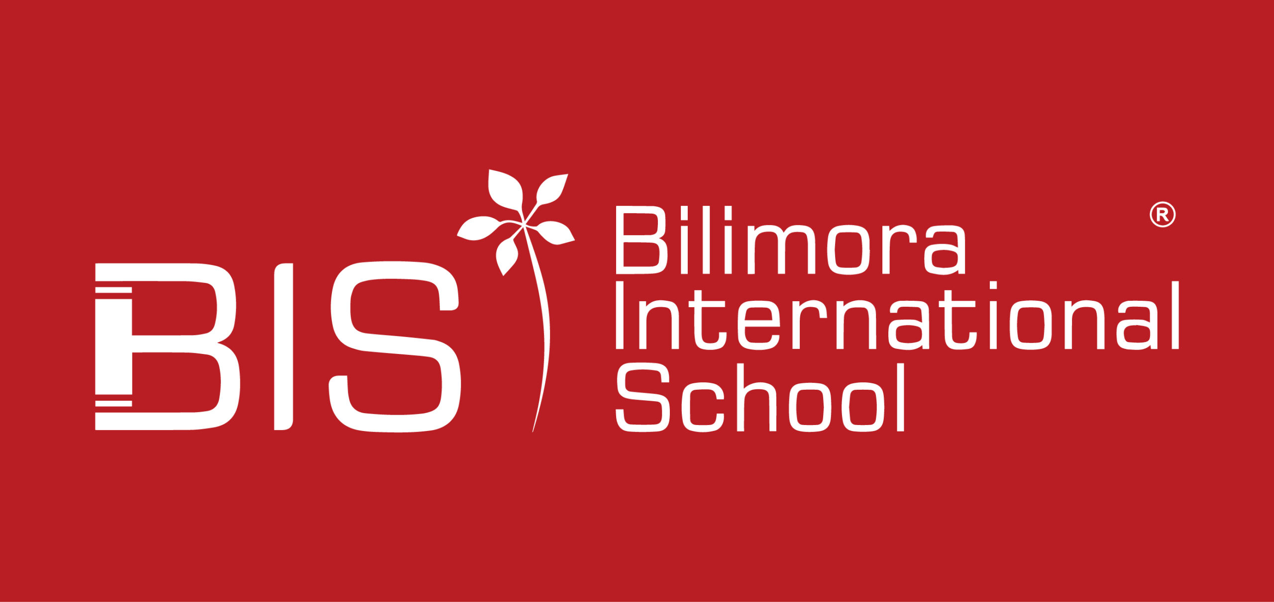 Bilimora school